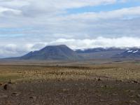 Kleiner Vulkankegel auf Kaldidalur Hochfläche